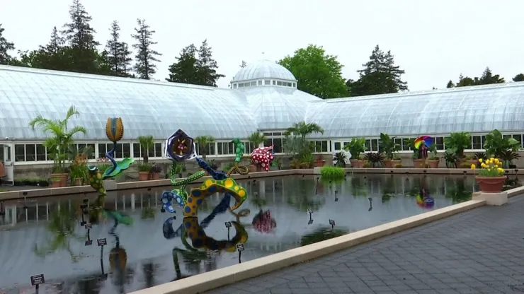 Exposición de Yayoi Kusama llega al Jardín Botánico de NY