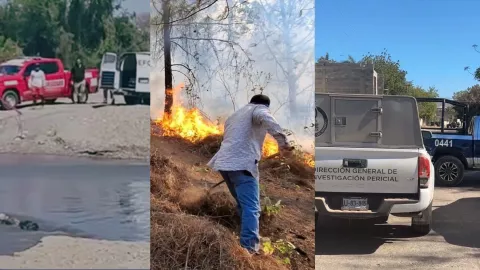 Noticias HOY 30 de marzo en Sinaloa