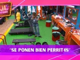 La Granja VIP