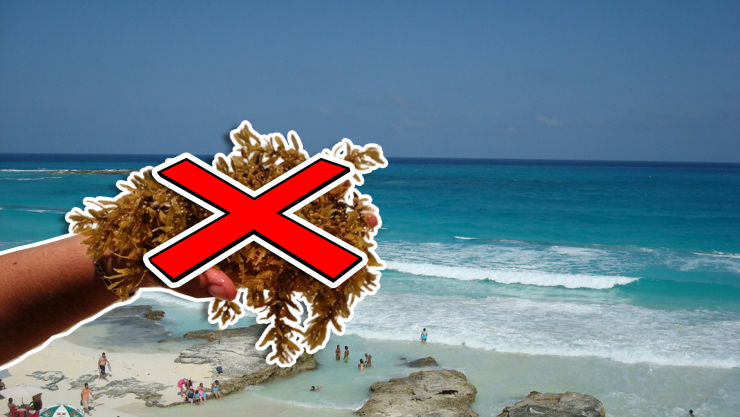 Estas son las playas sin sargazo en Quintana Roo HOY 26 de octubre de 2025_ Cancún, Playa del Carmen, Tulum y más.jpg