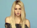 Shakira eligió el estadio Nilton Santos de Río de Janeiro, para iniciar su gira mundial.