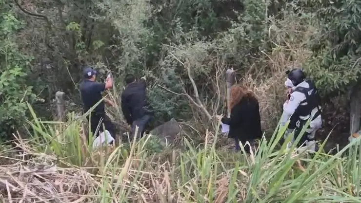 ¡Movilización! Hallan osamenta en Cerro Gordo, Emiliano Zapata