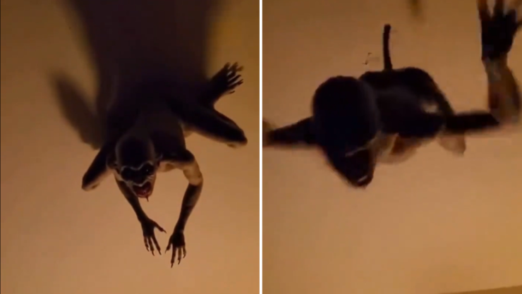 Video demonio viral en redes revelan que fue creado con inteligencia artificial IA.png