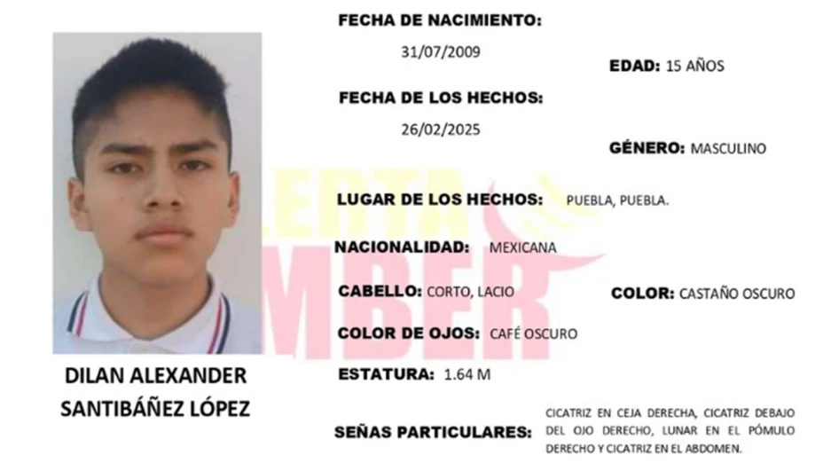 dila alexander desaparecido puebla