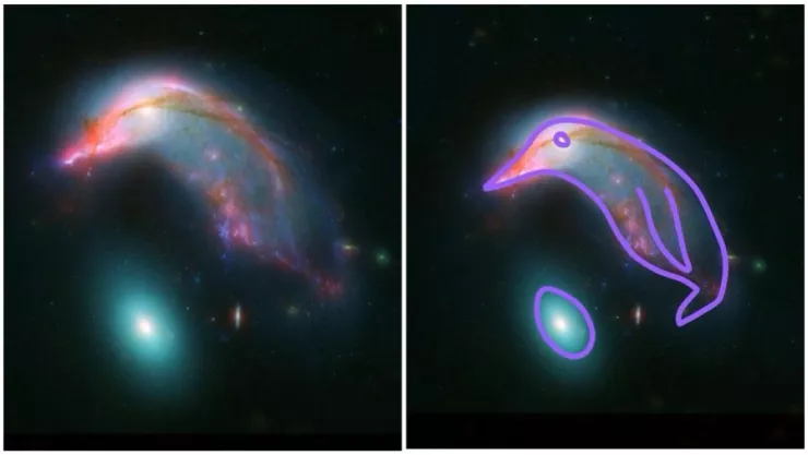 nasa-capta-imágenes-de-galaxias-en-forma-pingüino-cosmico-ngc-2937