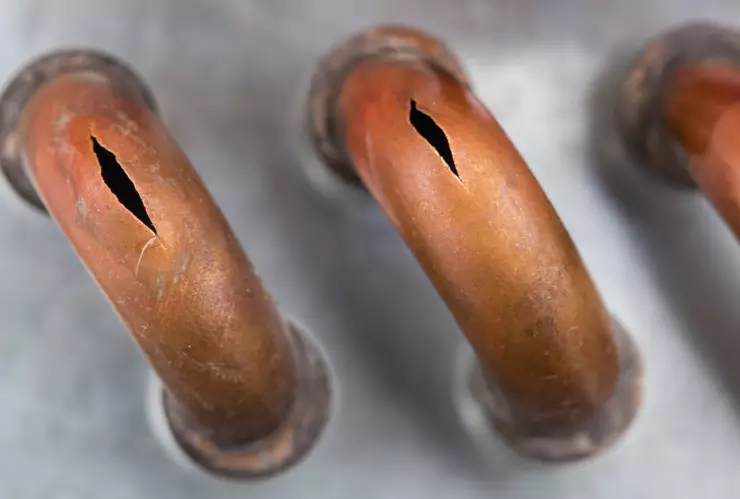 TUBERÏA REVENTADA.jpg