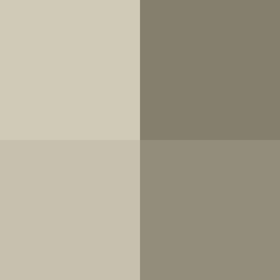 Tras una reunión de más de 200 expertos durante 2 días, la OMS dijo que la sangre de los sobrevivientes se puede usar en forma inmediata