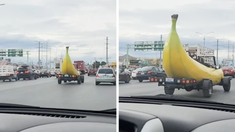 bananamóvil Chihuahua.jpg