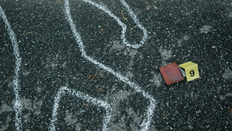 muerto nicolás bravo