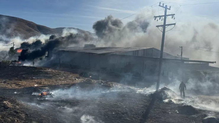 Reporte de Bomberos por vientos de Santa Ana en Tijuana hoy miércoles 6 de noviembre de 2024
