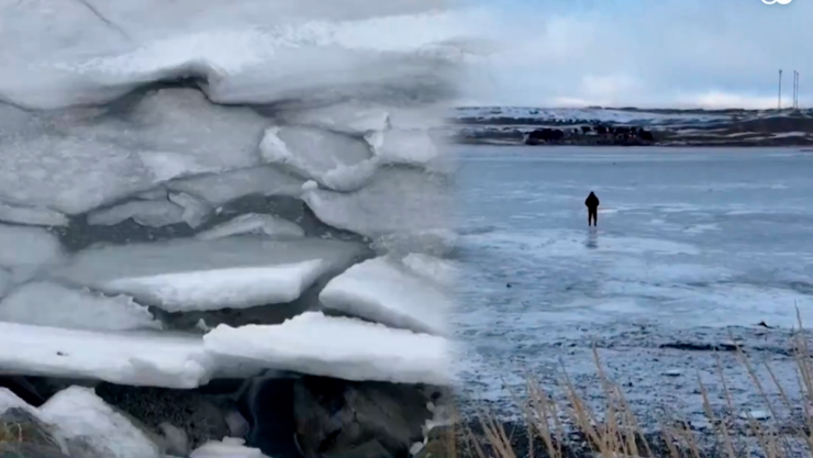 Payas de Chile congeladas por una ola polar ¡ Se congela el Océano Pacífico! 