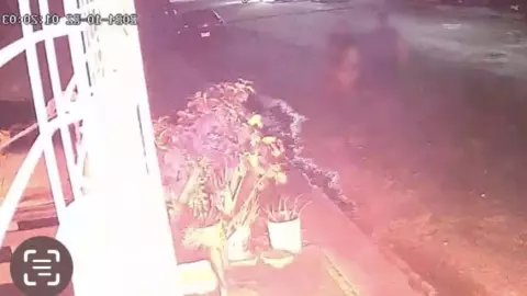 Incendian domicilio de la boxeadora y rescatista, Aline ‘La China’ González tras defender un perro (1).jpg