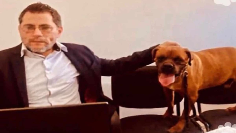 Perro acude a audiencia contra su dueña acusada de maltratarlo