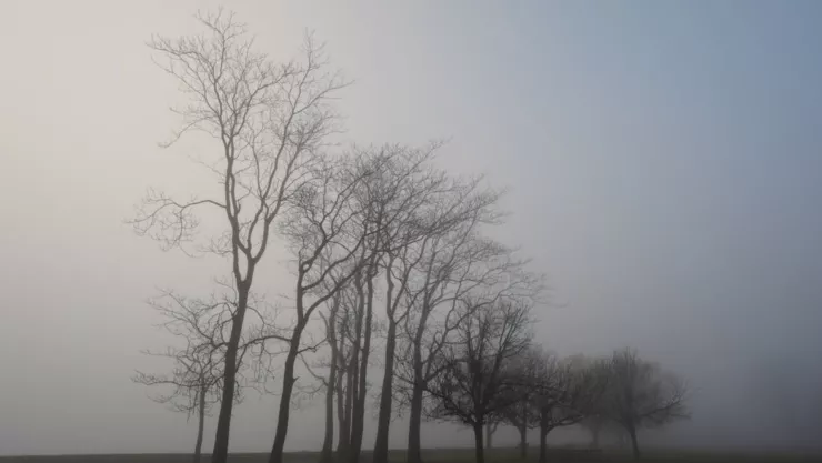 Vientos helados azotan la ciudad de Puebla hoy lunes: Zonas afectadas