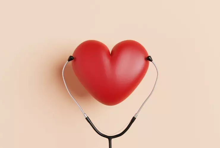 Cómo fluye la sangre por el corazón