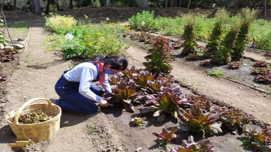 producción agroecológica_Semarnat.jpeg