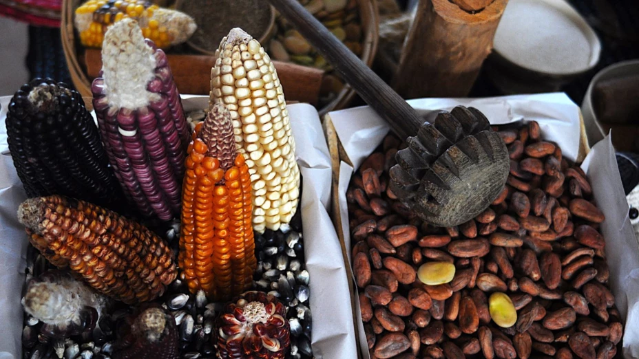 Encuentro Internacional y Seminario Permanente de Cocinas.