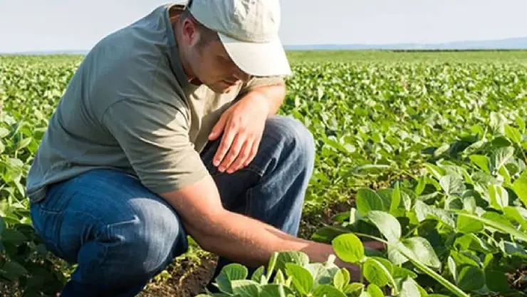 dia del agronomo efemerides hoy 22 de febrero
