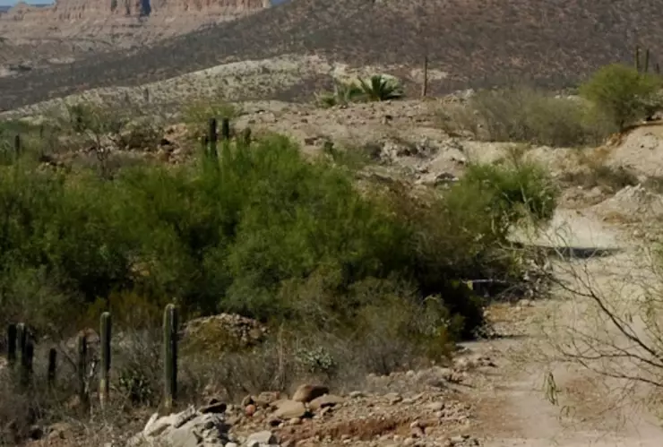 Más de 4 mil 400 desaparecidos en Baja California 