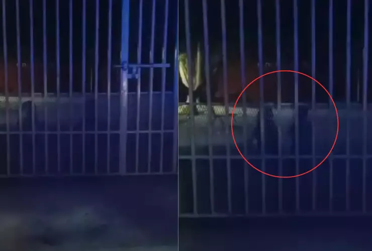 Captan a niños fantasma en Nayarit