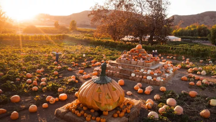 Ruta del Maíz en Tijuana