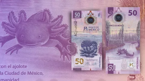Pagan 1.5 millones de pesos por billete del ajolote ‘serie palíndromo’ .jpg