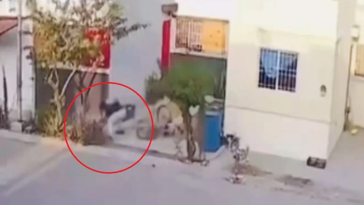 agresión perrito nuevo león