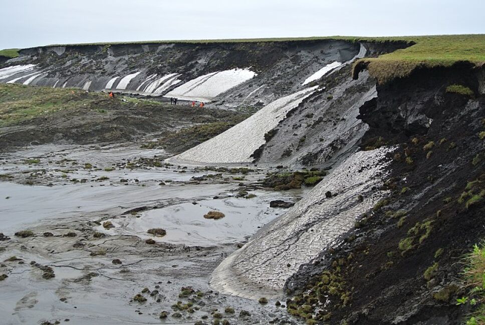 Permafrost, bacterias, virus 1.jpg