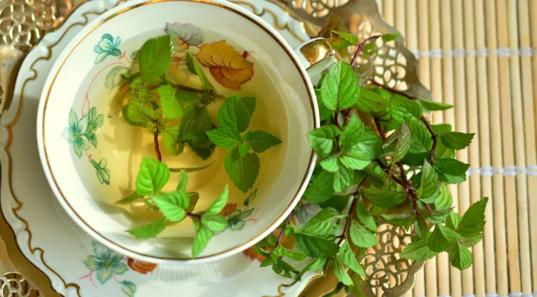 ¿Cuál es el té que alivia el malestar estomacal y los dolores?