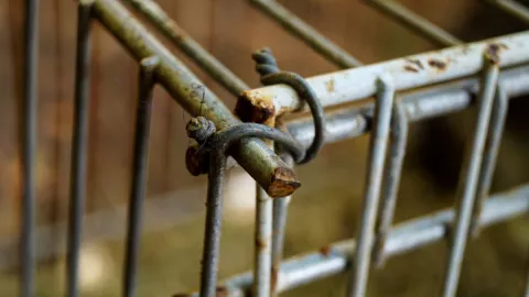 Padres dejan a niño encerrado en una jaula de perro afuera de su casa