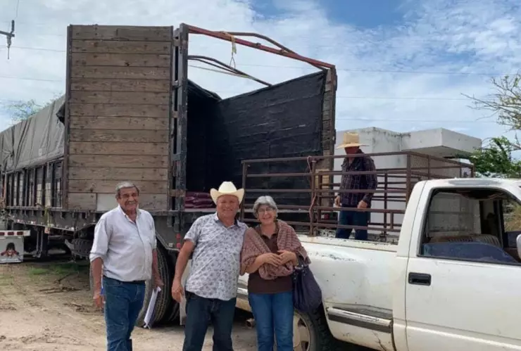 Precio de kilo de ganado en Sinaloa.jpg