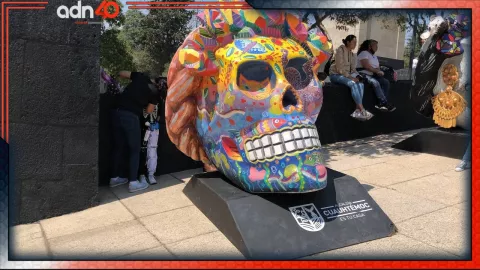 Qué este fin de semana en la CDMX