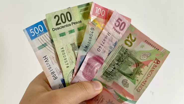 mano sosteniendo billetes de distintas denominaciones