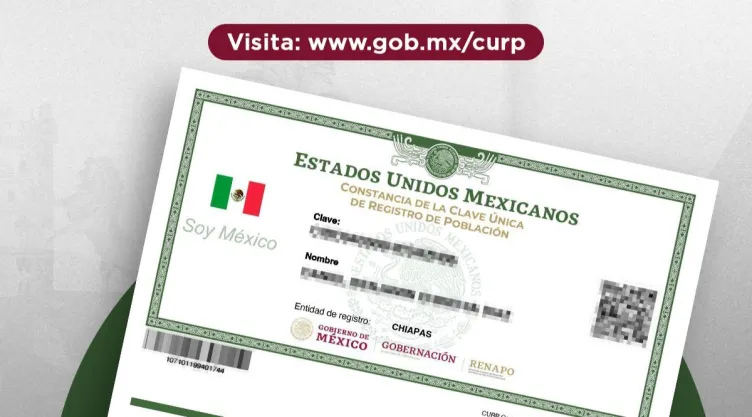 Paso a paso para obtener la nueva CURP certificada en octubre 2024
