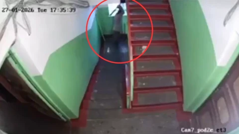 Hombre mata a su madre.png