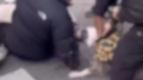 Pitbull muerde a niño en Manhattan y provoca debate sobre seguridad canina