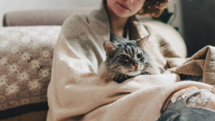 A esta temperatura los gatos comienzan a sentir frío