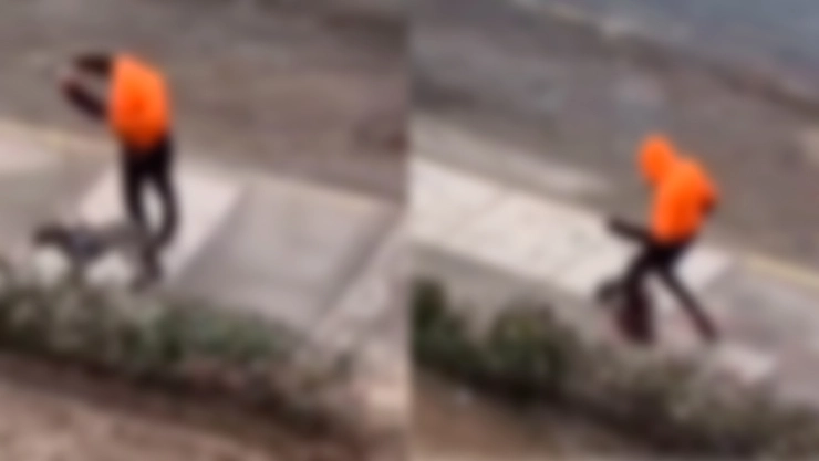 ¡Maltrato animal captado en VIDEO! Un perrito es arrojado y golpeado por un sujeto en plena calle
