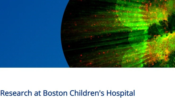 Piratas informáticos Hospital Infantil Boston FBI