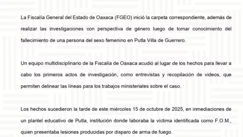 Asesinato maestra Guerrero ataque armado Putla Villa de Guerrero