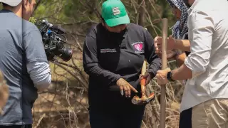 La Rastreadoras de Sonora