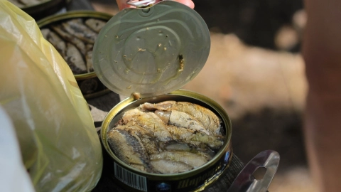 Atún-todos-los-días