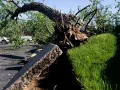 tornados-eu-6