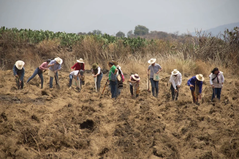 Milpa Alta.