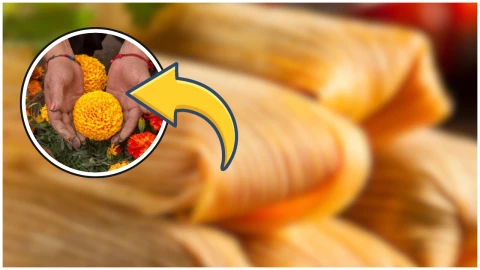 tamales de cempasuchil