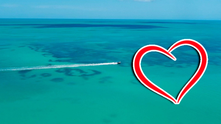 VIDEO_ ¡Con café y todo! Así lucen las playas de Holbox HOY 21 de diciembre de 2025.webp