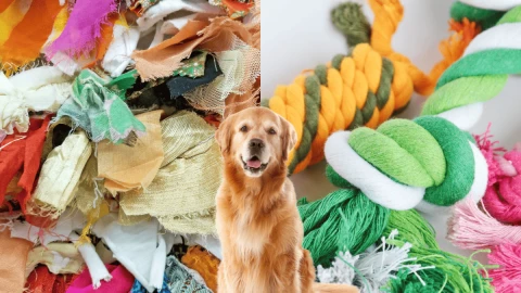 5 ideas para reciclar los retazos y usarlos en tus mascotas, según la IA.png