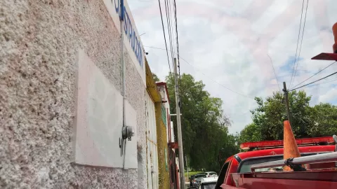 Gatito en una barda.jpg