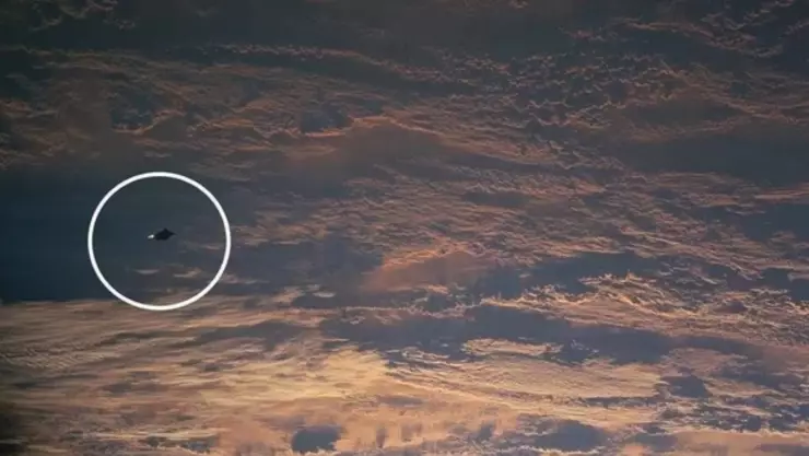 ¿Caballero negro a la vista? Video en TikTok revela que se encuentra sobre Guatemala