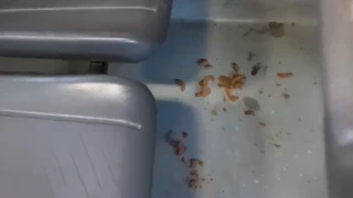 Chofer exponena pasajero